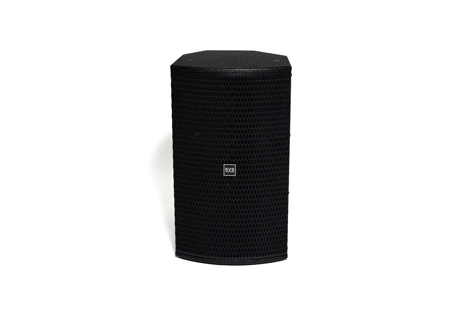 SVS AUDIOTECHNIK ST-12A DSP  Активная акустическая система 